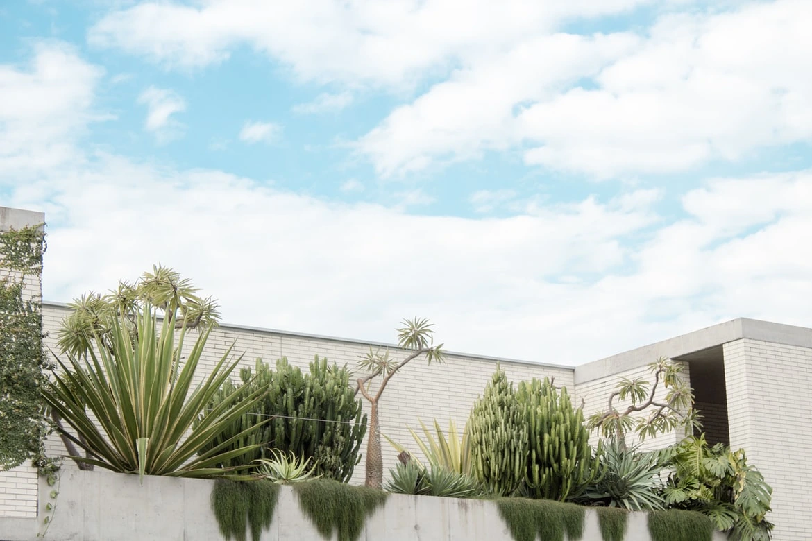 Projet micro urbain — terrasse végétalisée sous ciel d'altitude