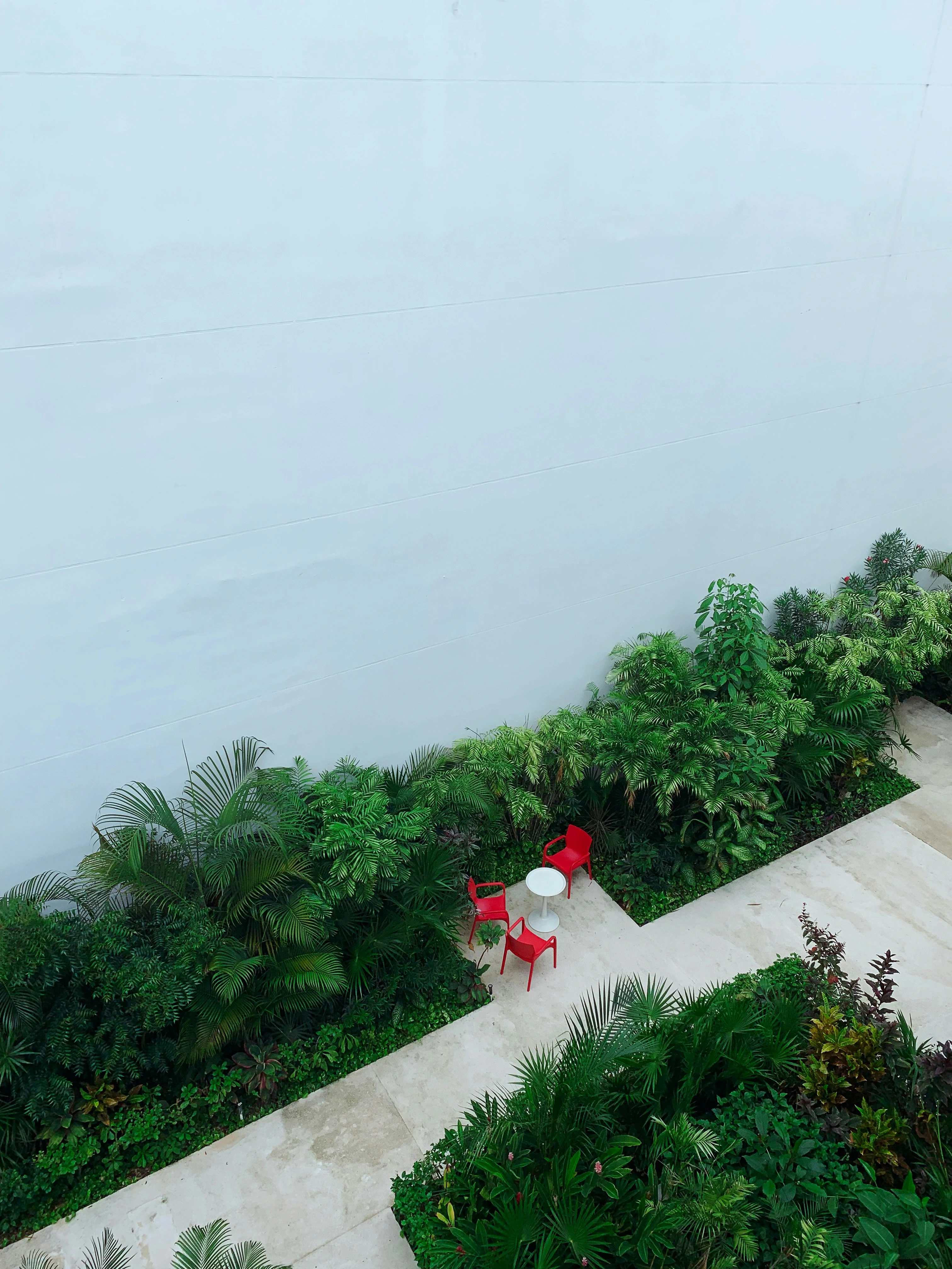 Projet micro urbain — escalier patio jardin minéral