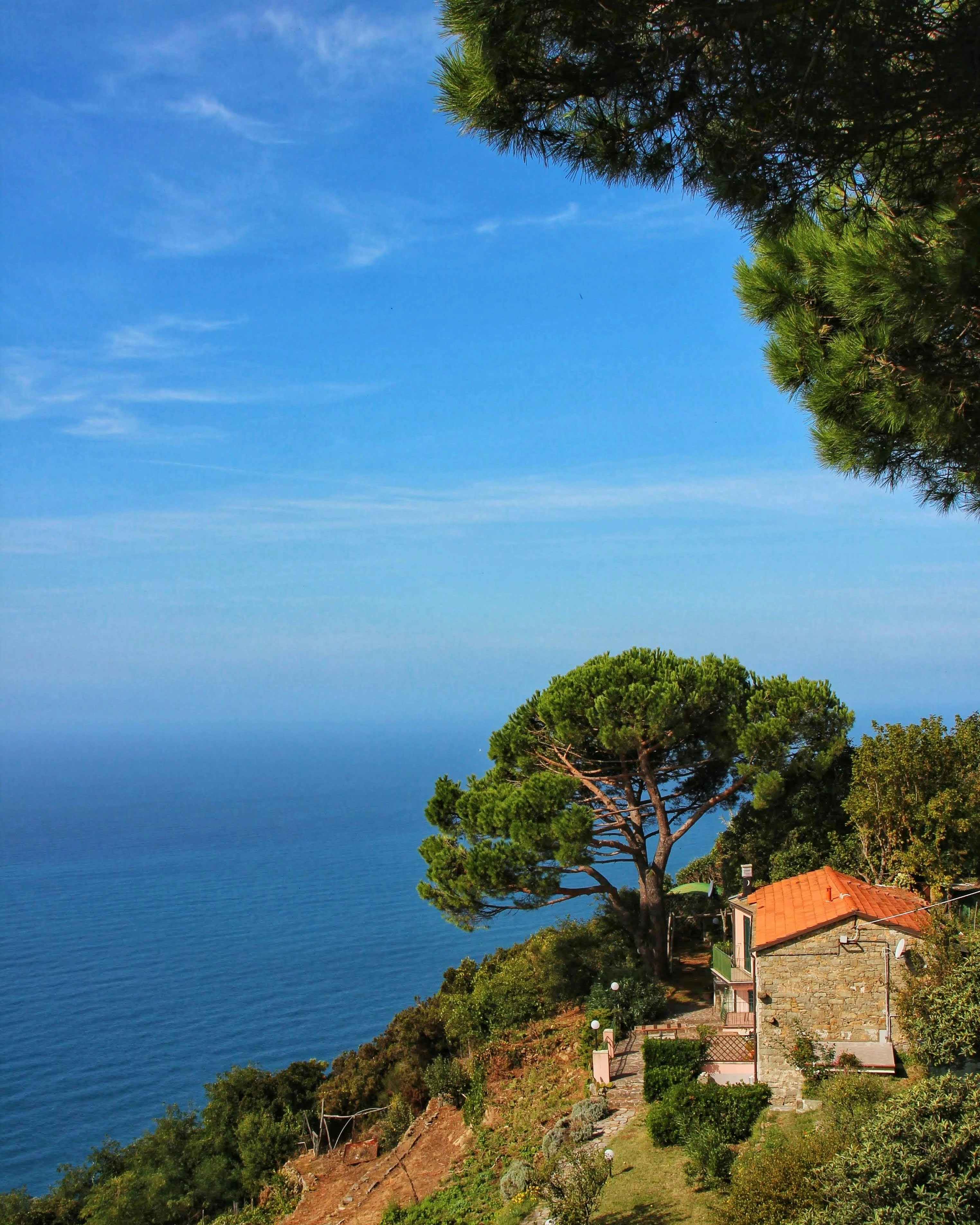 Projet domaines et caractère — vue sur la mer Méditerranée sous un pin parasol depuis une maison à toit ocre, jardin en terrasses