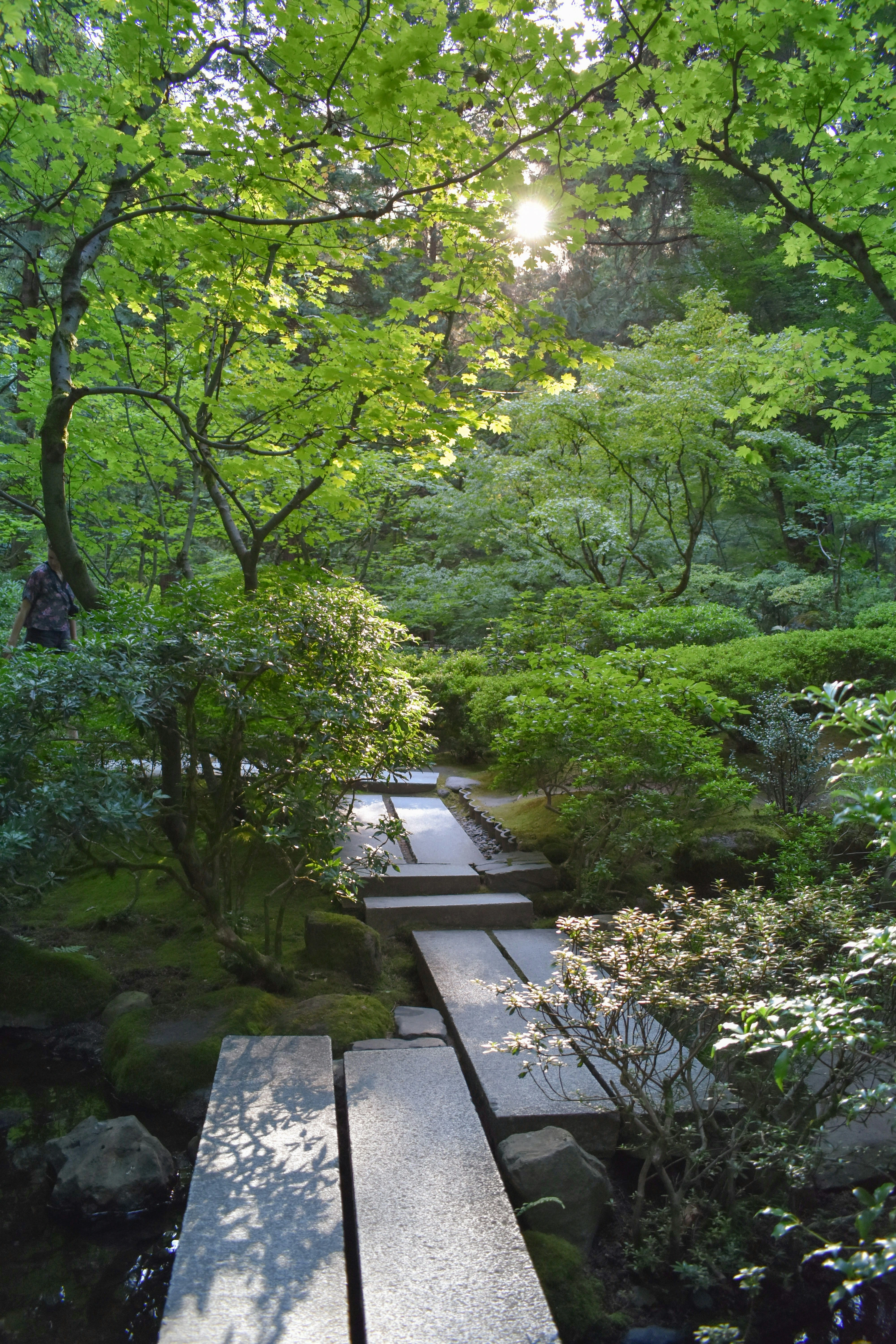 Projet frange urbaine — jardin japonais zen, pas japonais minéraux et érables verts
