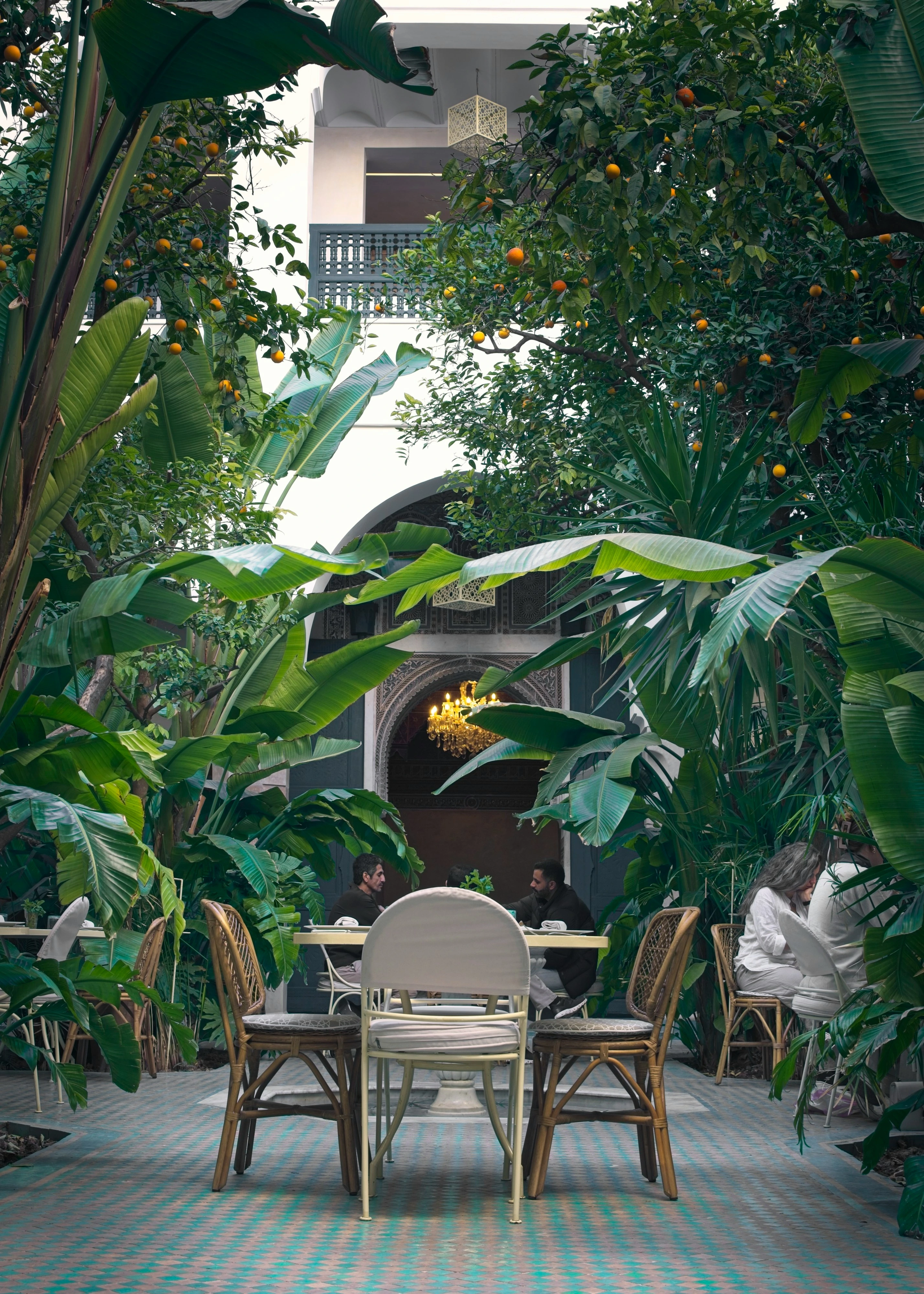 Projet micro urbain — patio tropical intérieur-extérieur