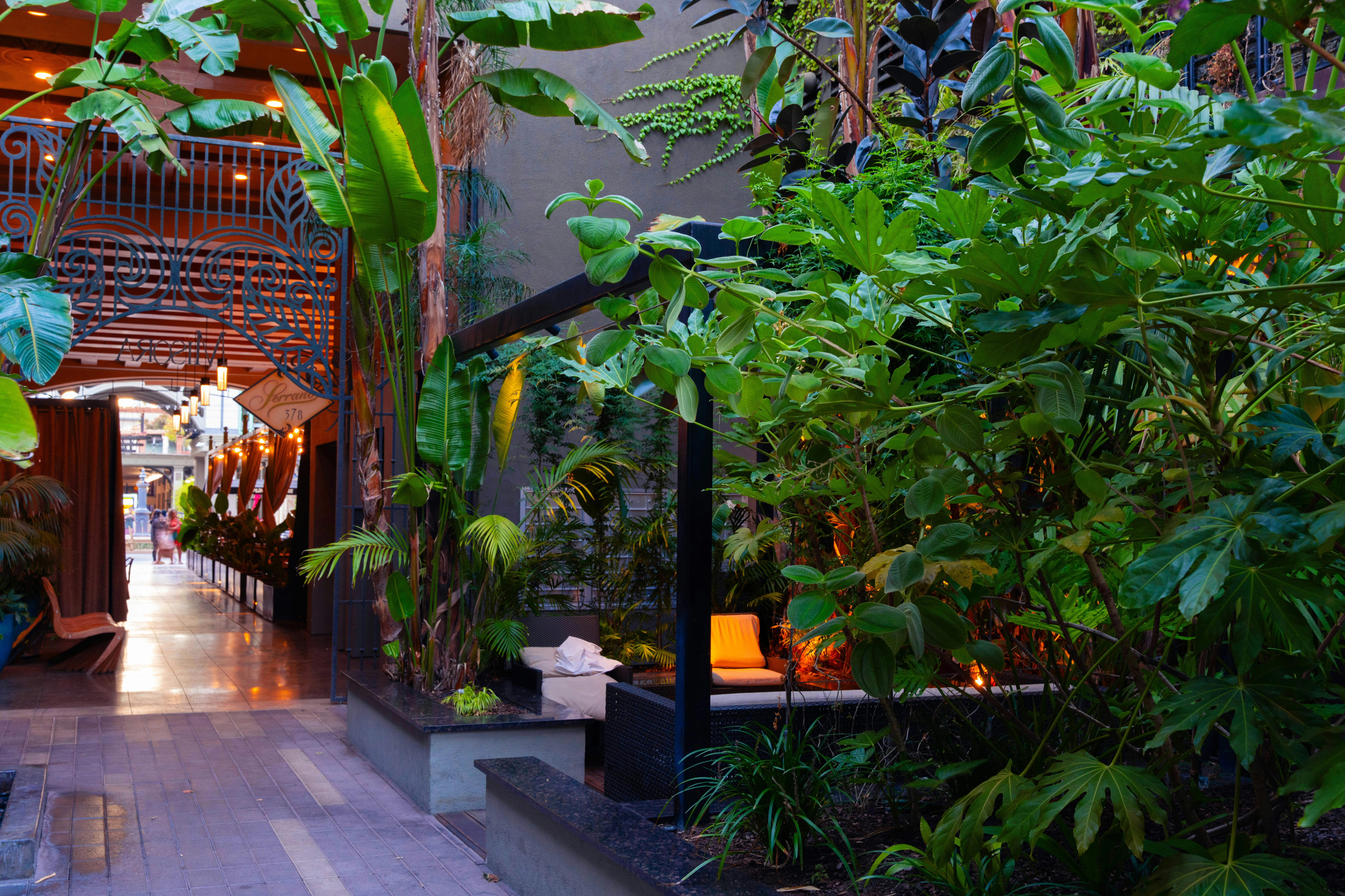 Projet cœur urbain — terrasse couverte jungle intérieur-extérieur