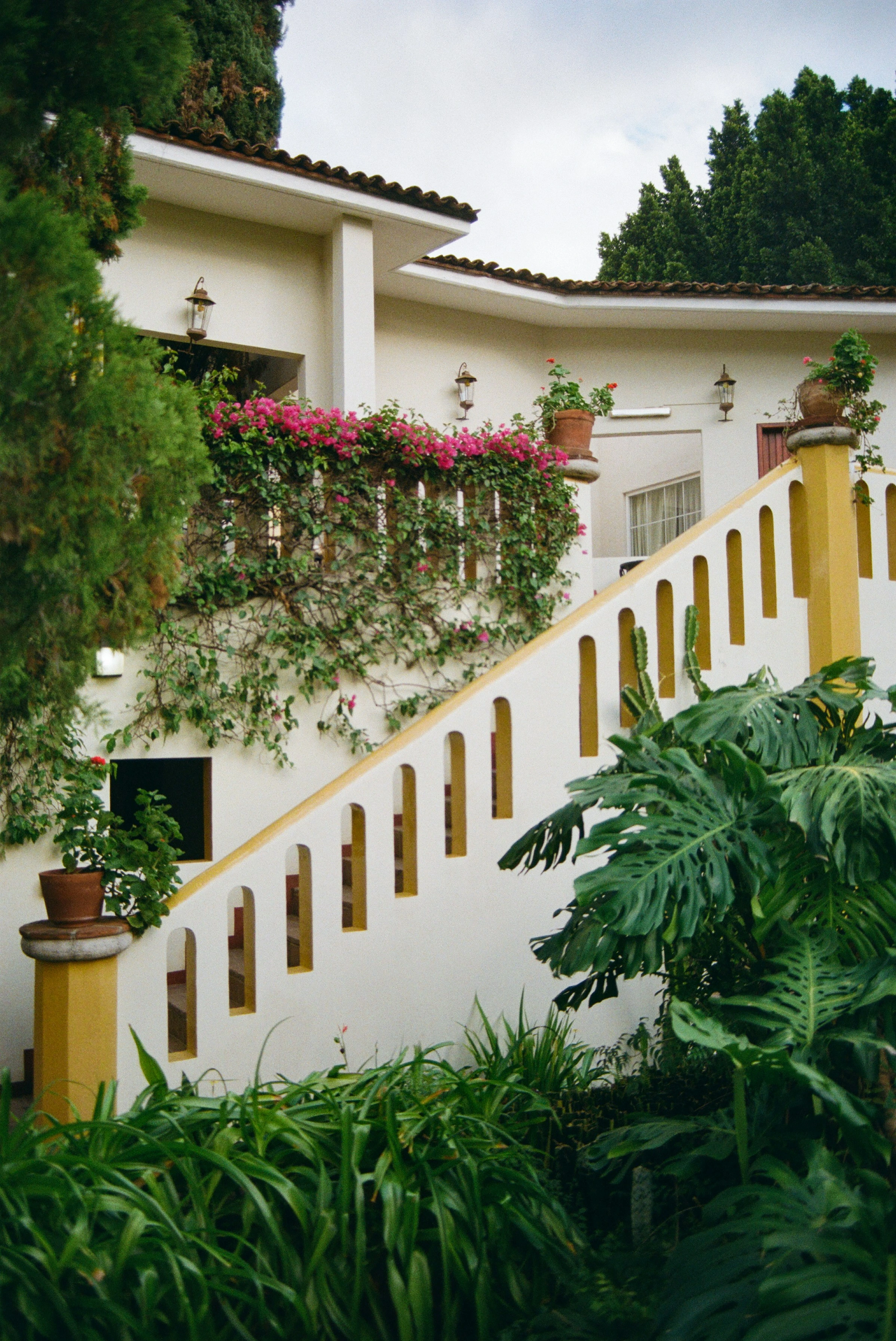 Projet frange urbaine — maison hispanique blanche avec escalier extérieur, bougainvilliers et monstera