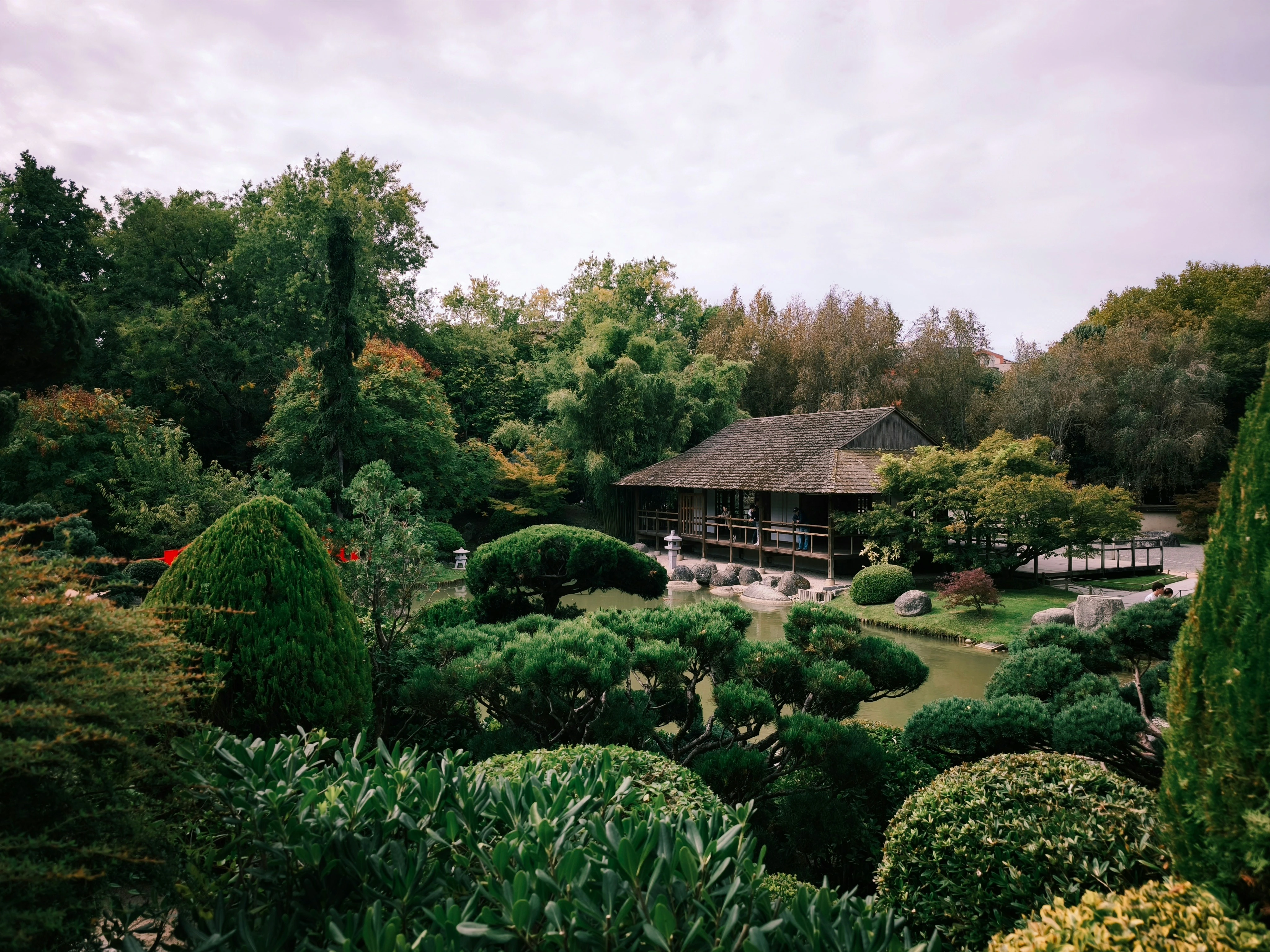 Projet domaines et caractère — jardin japonais zen avec maison traditionnelle et buis sculptés