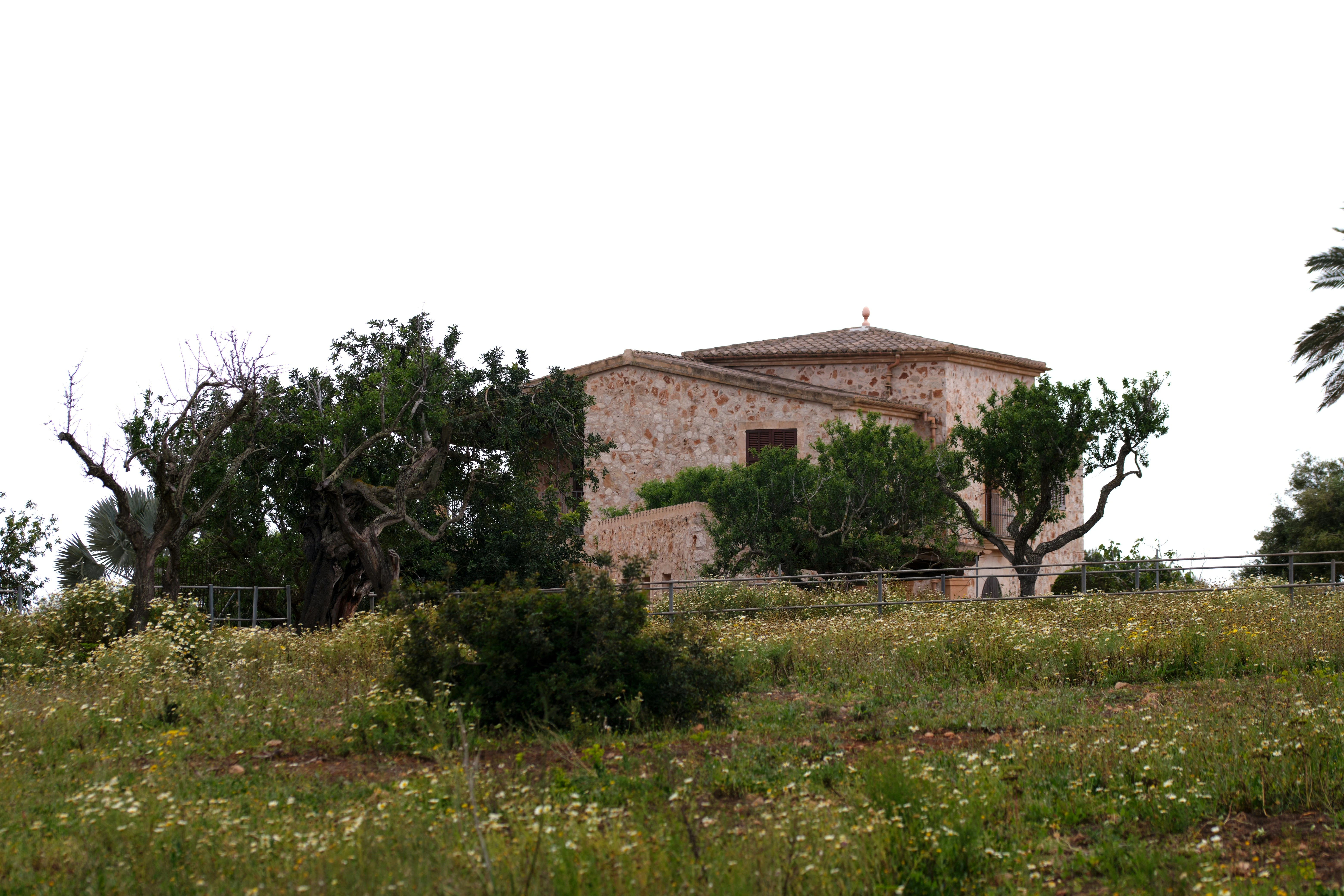 Projet domaines et caractère — maison vernaculaire en pierre dans une prairie d'oliviers et herbes folles