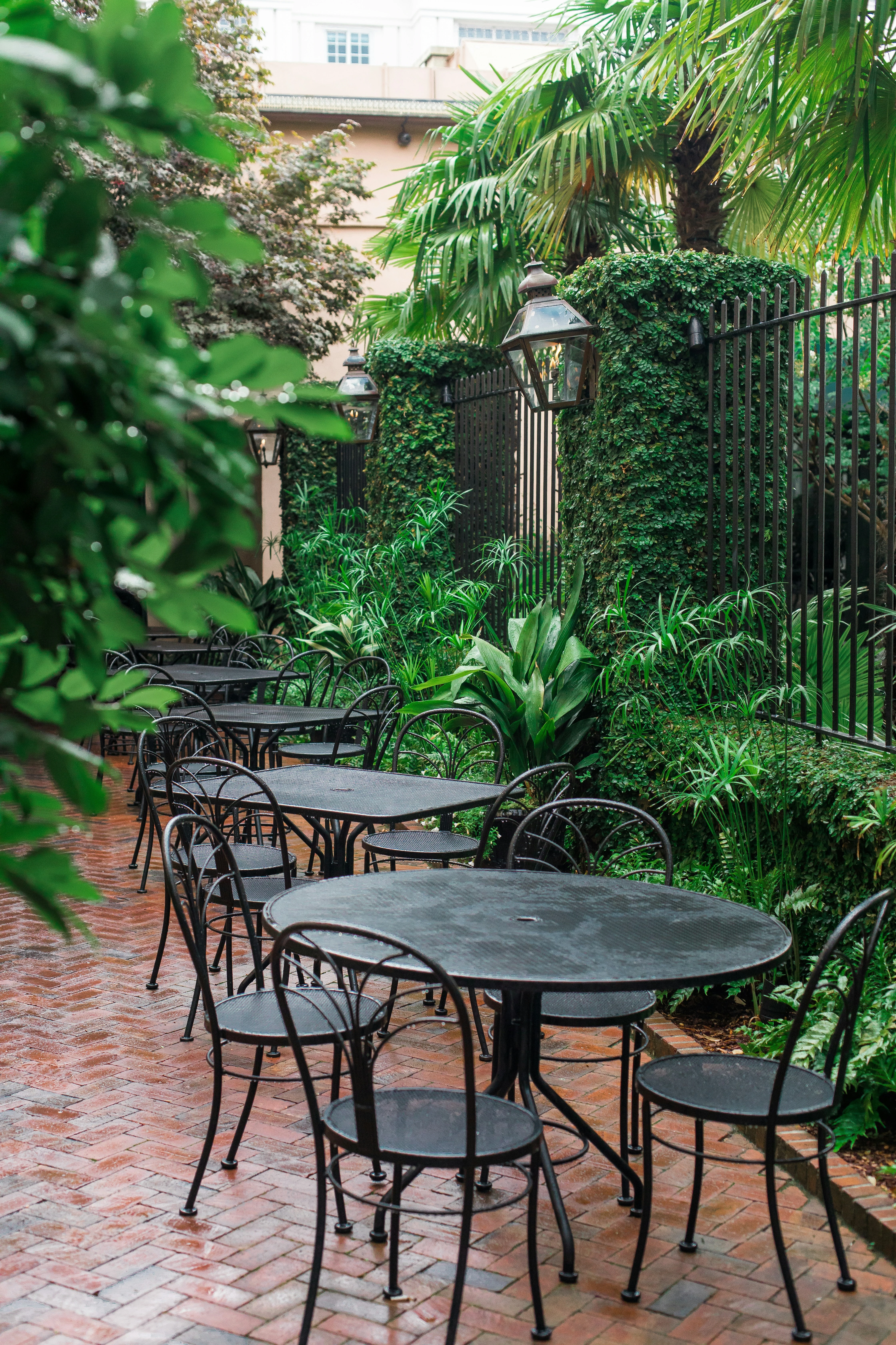 Projet cœur urbain — terrasse de restaurant en fer forgé sous palmiers