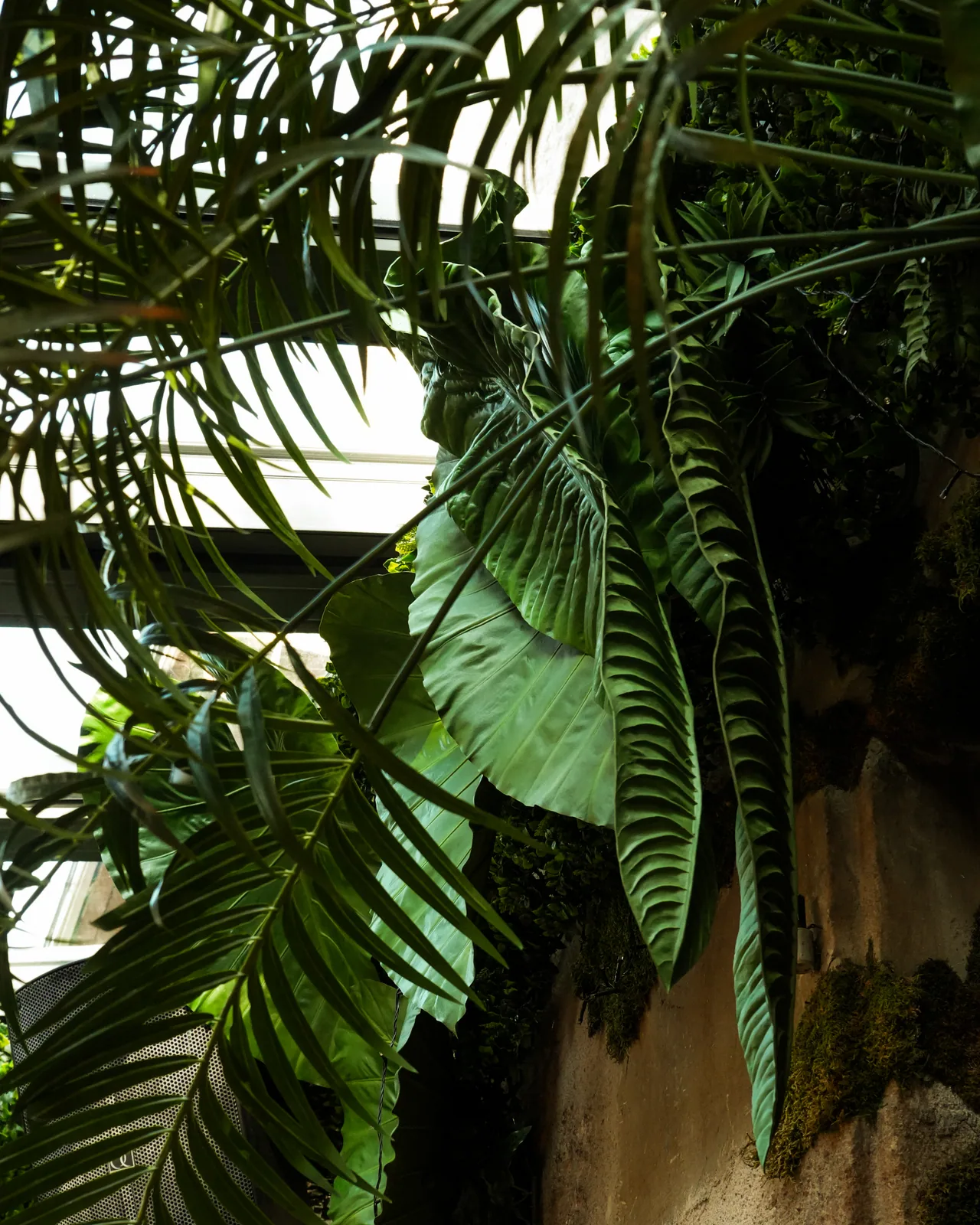 Galerie studio 4