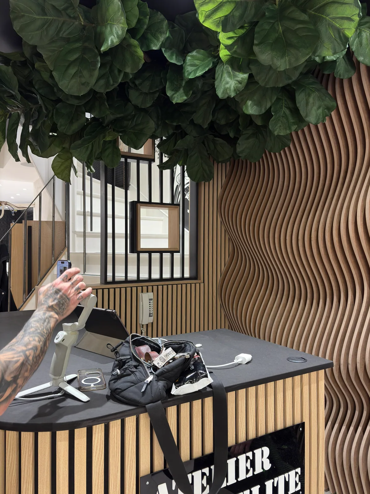 Plafond arboré — Brive